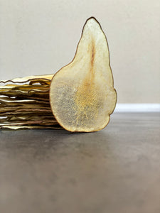 Dried Conference Pear Slices, Organic, Edible, 100% Natural, No Sugar Added