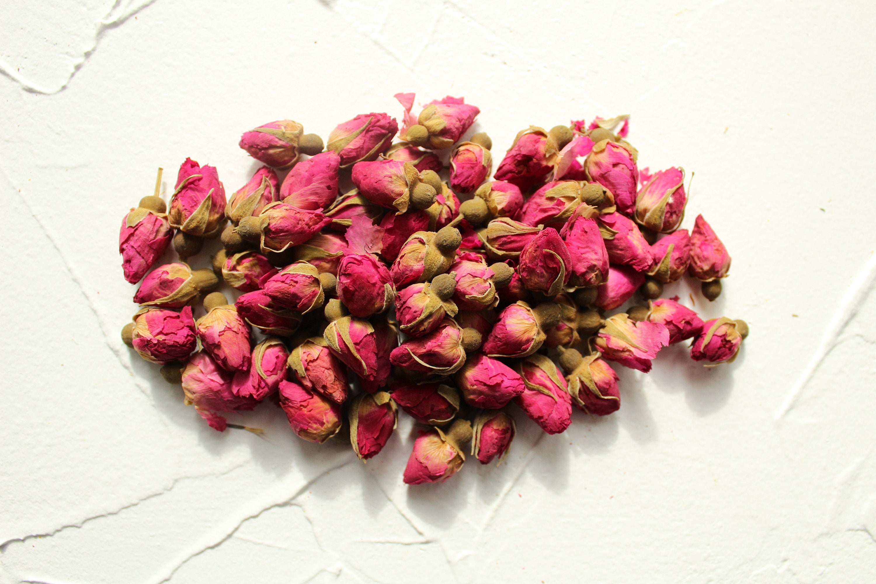 Red Rose Buds and Petals-CORSP