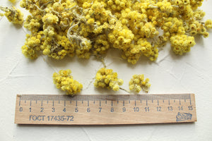 Helichrysum flowers whole, Helichrysum, High Quality, Natural, Wild grow, Organic, Biodegraddable, Wedding, Craft, Edible, Confetti, OZ