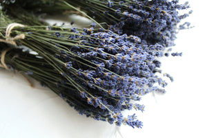 Dried Blue Lavender Bouquets, 100-120 Stem Per Bouquet, High Quality, Natural, Organic, Biodegraddable, Wedding, Craft