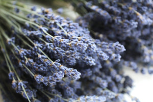 Dried Blue Lavender Bunches, 100-120 Stem Per Bouquet, High Quality, Natural, Organic, Biodegraddable, Wedding, Craft, Lavender Bouquet