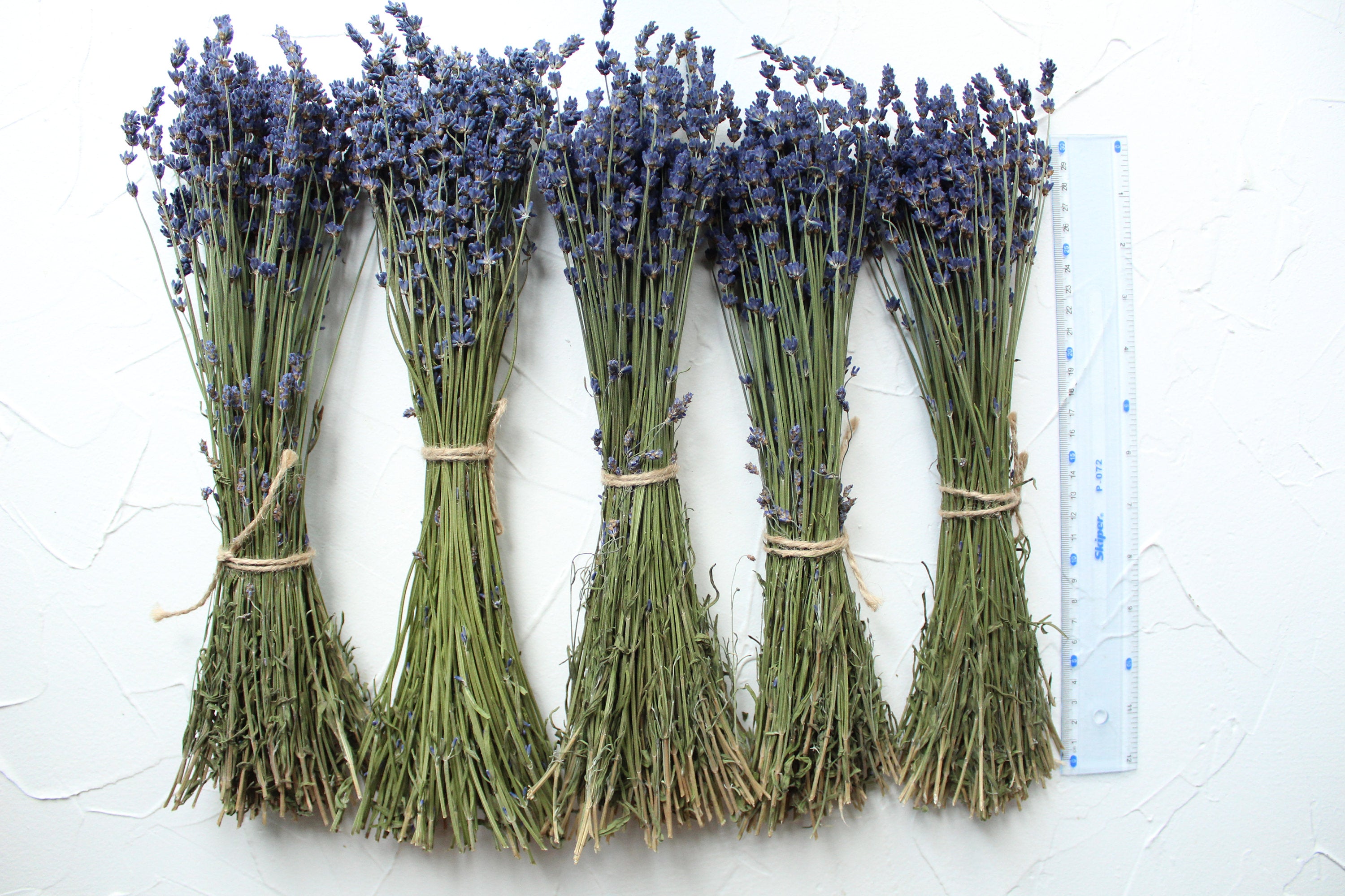 Lavender Bundle, Dried Lavender Bouquet, 100-120 Stem Per Bouquet, Hig –  UkrainianFlowersShop