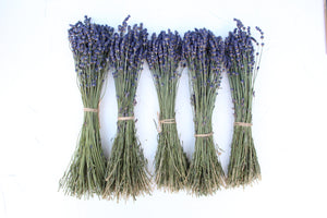 Bundle of Dried Blue Lavender Bouquets, 100-120 Stem Per Bouquet, High Quality, Natural, Organic, Biodegraddable, Wedding, Craft