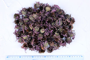 Dried Echinacea Purpurea Flowers, Coneflower, High Quality, Natural, Organic, Biodegraddable, Craft, Wedding toss, Wedding confetti