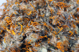 Arnica Montana dried flowers, Organic, High Quality, Natural, Biodegraddable, Craft, Confetti, Toss, Confetti