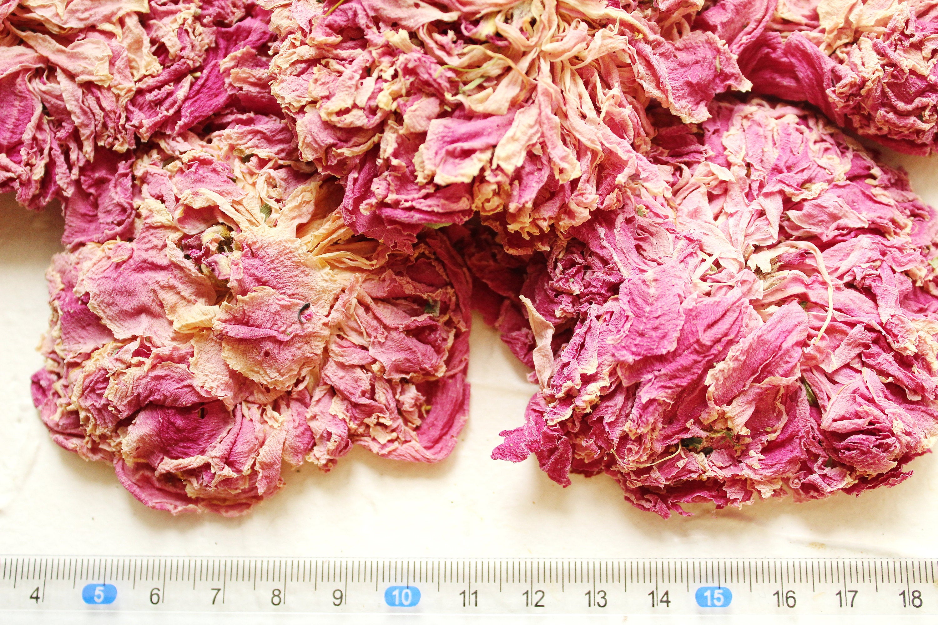 10 Natural Dried Pink Peonies, Without stems, High Quality, Natural, Organic, Biodegraddable, Wedding flowers, Craft, Bath bomb