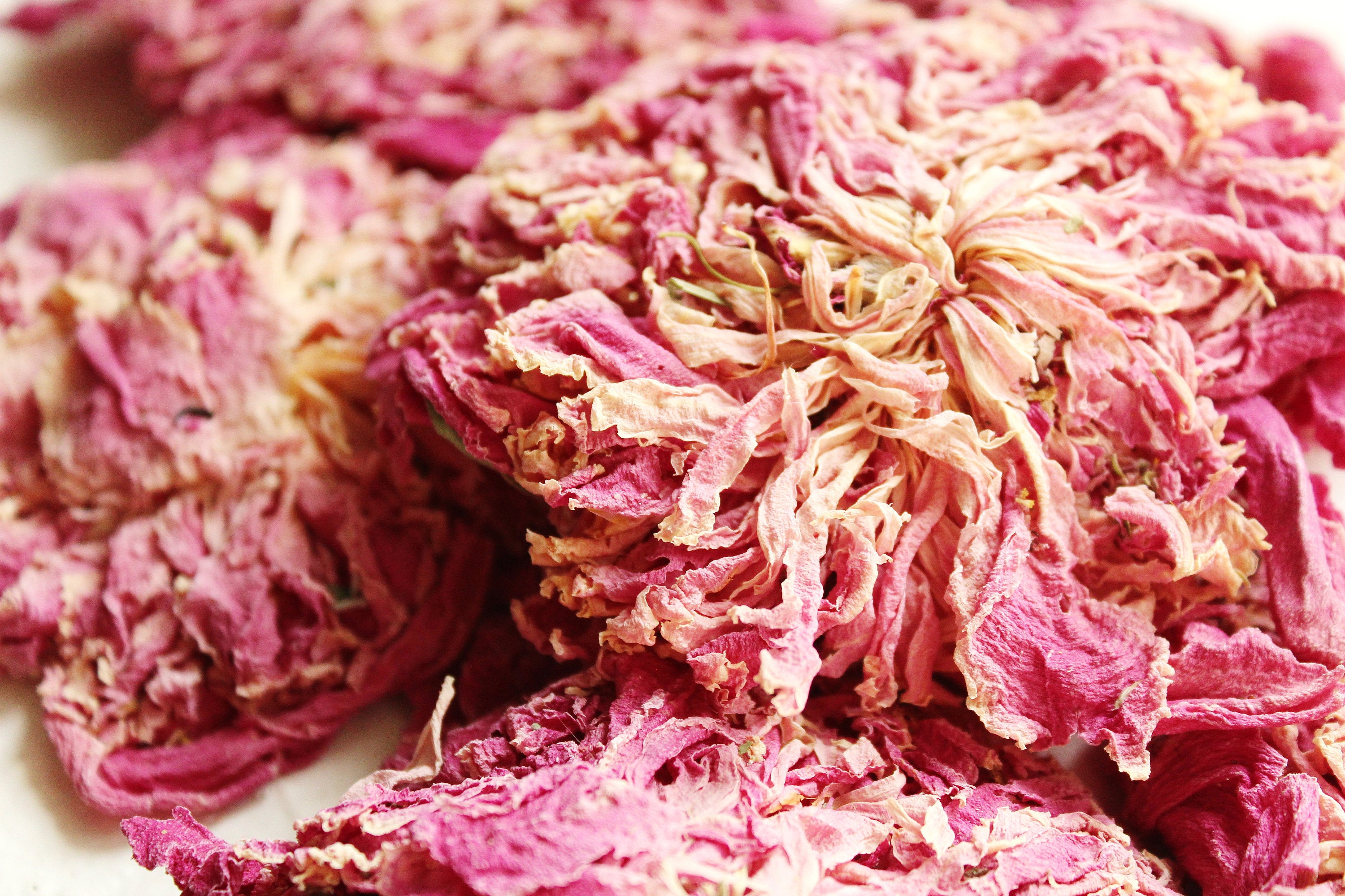 10 Natural Dried Pink Peonies, Without stems, High Quality, Natural, Organic, Biodegraddable, Wedding flowers, Craft, Bath bomb